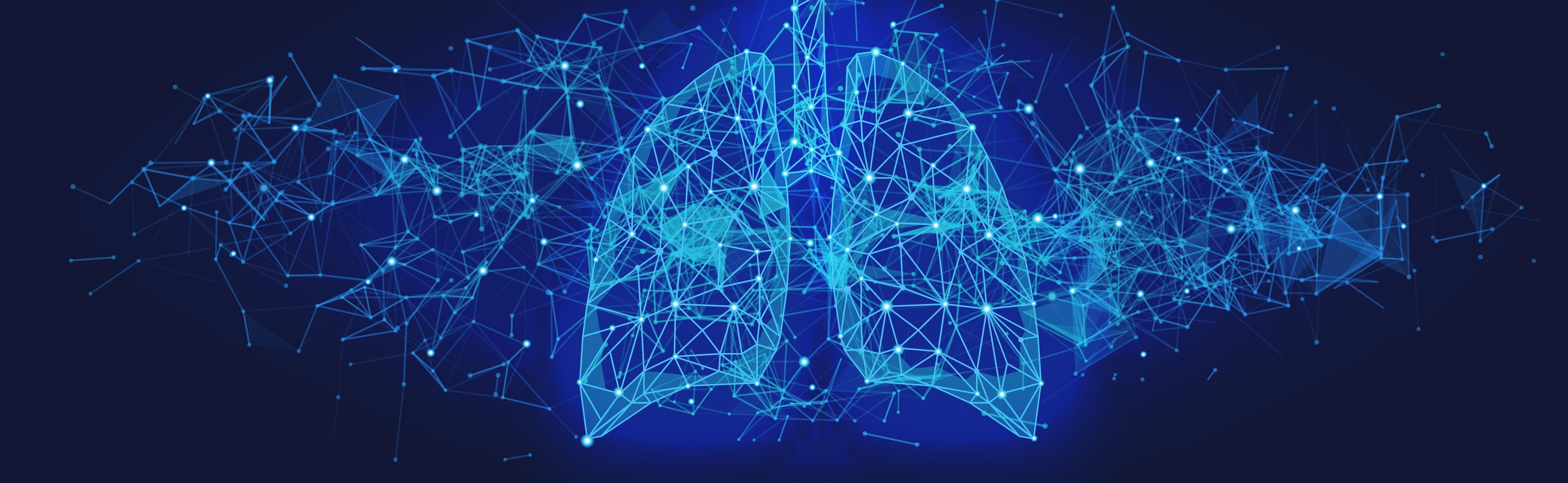 Lungs 